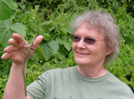 AUT_4eb241d29ceb30.37399405.jpg AUT_4eb241d29ceb30.37399405.jpg